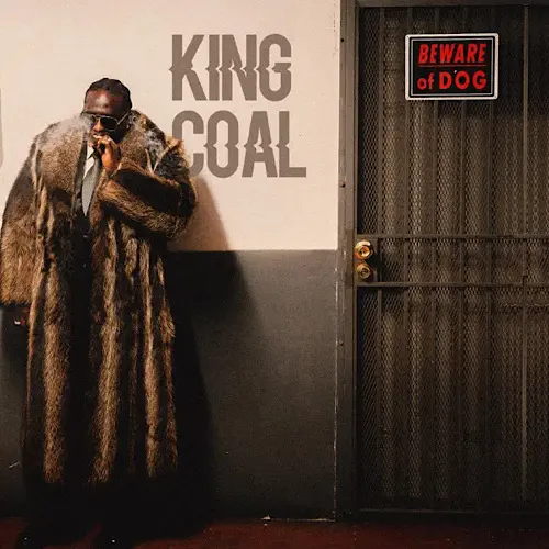 Wande Coal - KING COAL
